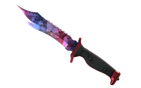 ★ Bowie Knife | Doppler (Factory New)