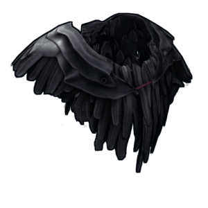 Raven Poncho