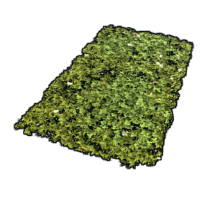 Grass Rug