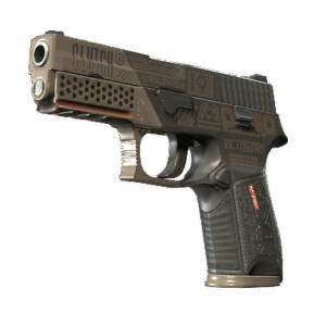 P250 | Bullfrog (Minimal Wear)