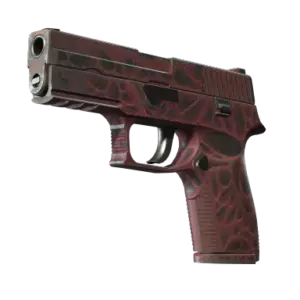 P250 | Contaminant (Field-Tested)