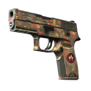 P250 | Red Rock (Battle-Scarred)
