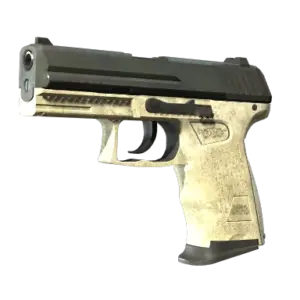 P2000 | Ivory (Battle-Scarred)