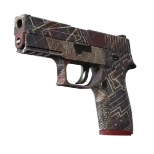 P250 | Facility Draft (Minimal Wear)