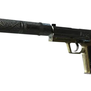 StatTrak™ USP-S | Lead Conduit (Battle-Scarred)