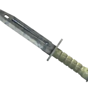 ★ Bayonet | Stained (Well-Worn)