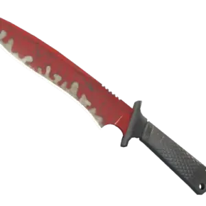 ★ Classic Knife | Crimson Web (Well-Worn)