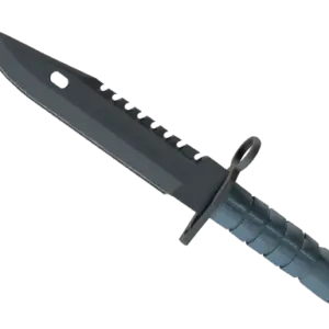 ★ M9 Bayonet | Night (Minimal Wear)