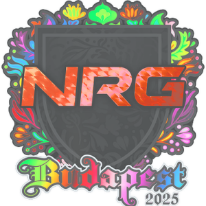 Sticker | NRG (Holo) | Budapest 2025