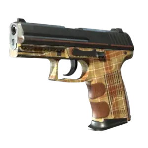 P2000 | Coach Class (Field-Tested)