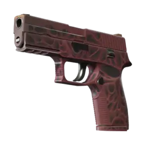 StatTrak™ P250 | Contaminant (Factory New)