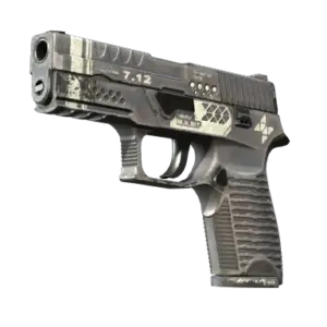StatTrak™ P250 | Re.built (Well-Worn)