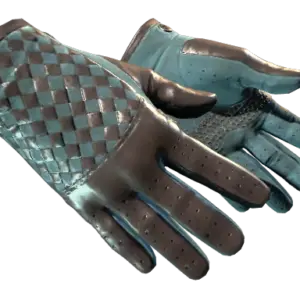 ★ Driver Gloves | Lunar Weave (Factory New)