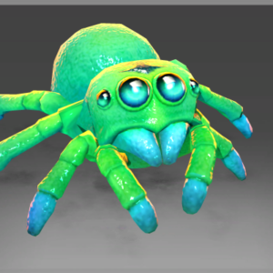 Autographed Lycosidae's Spiderling