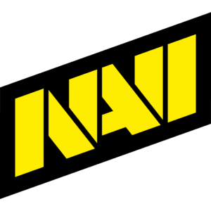 Glitter Natus Vincere Team Sticker - TI 2025