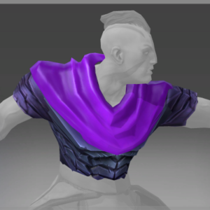 Inscribed Tunic of the Survivor