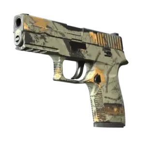 P250 | Modern Hunter (Field-Tested)