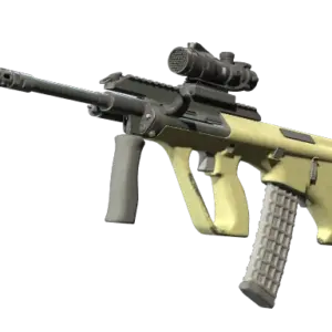 Souvenir AUG | Colony (Well-Worn)