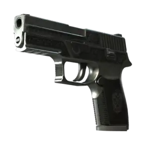 StatTrak™ P250 | Cartel (Battle-Scarred)