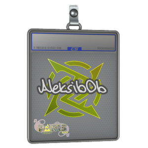 Sticker Slab | Aleksib | Paris 2023