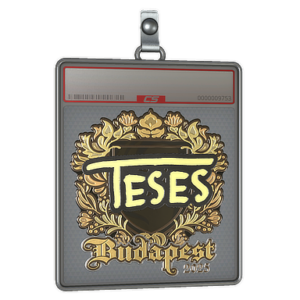 Sticker Slab | TeSeS (Gold) | Budapest 2025