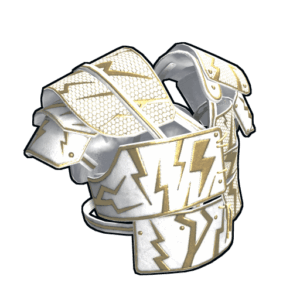 Thundergold Roadsign Vest