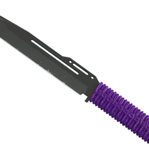 ★ StatTrak™ Paracord Knife | Ultraviolet (Well-Worn)