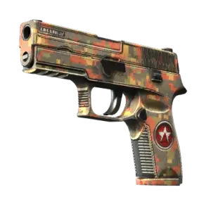 StatTrak™ P250 | Red Rock (Well-Worn)