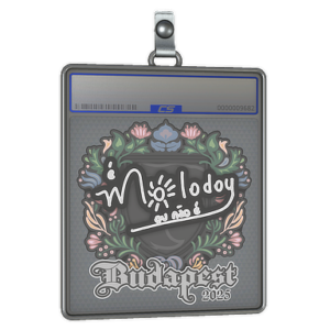 Sticker Slab | molodoy | Budapest 2025