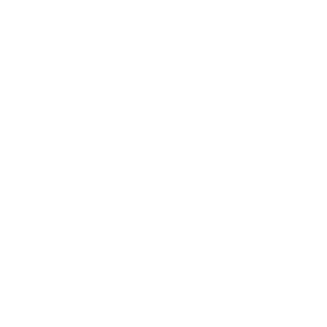 Holo Team Spirit Team Sticker - TI 2022