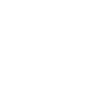 Holo Tundra Esports Team Sticker - TI 2022