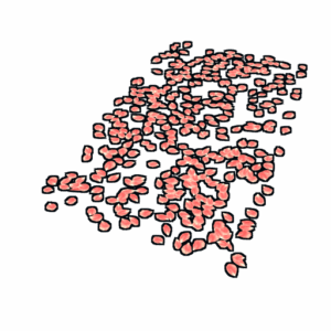 Rose Pedals Rug